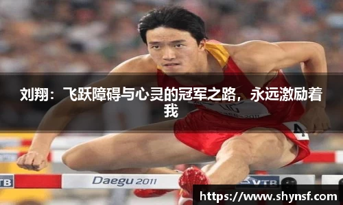 刘翔：飞跃障碍与心灵的冠军之路，永远激励着我