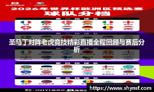 圣马丁对阵老虎竞技精彩直播全程回顾与赛后分析