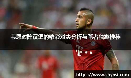 韦恩对阵汉堡的精彩对决分析与笔者独家推荐